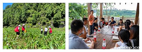 1664526493793639.jpg 6_副本.jpg