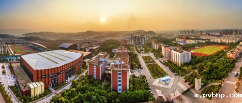 1672566123509018.jpg 1.jpg