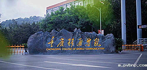 1673263566410372.png 1.png