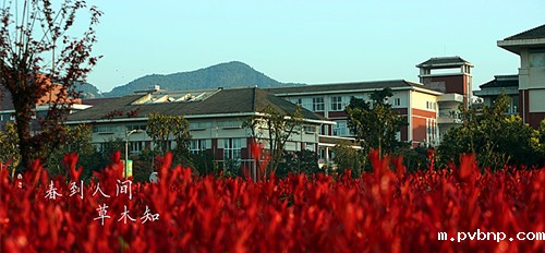 1675071077656743.jpg 1.jpg