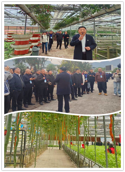 1701776635493065.jpg 田_副本.jpg