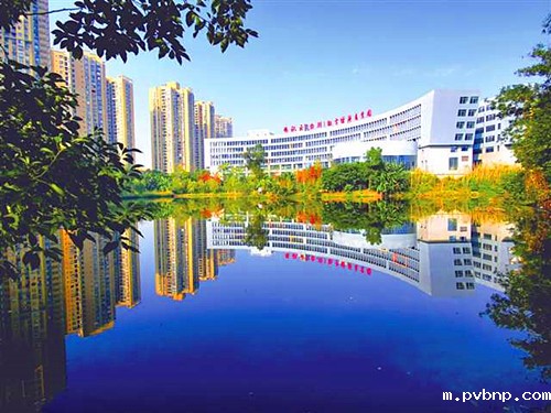 1713966477284198.jpg 1.jpg