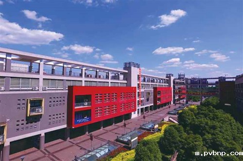 1713974332450202.jpg 1.jpg