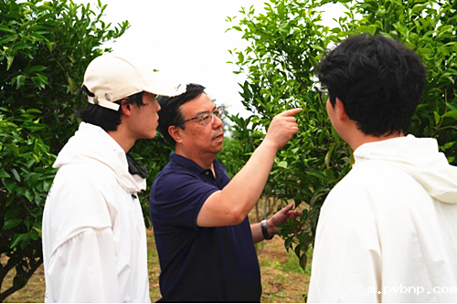 1720381451255992.png 1.png