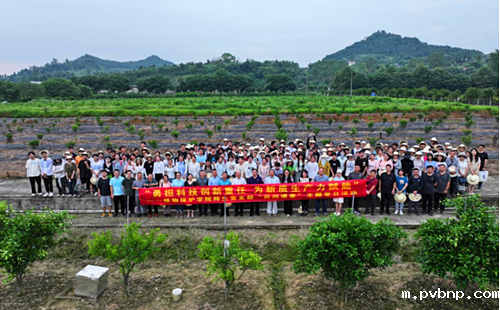 1720381472896733.png 3.png