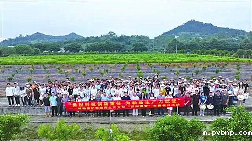 新历18luck 新历18luck