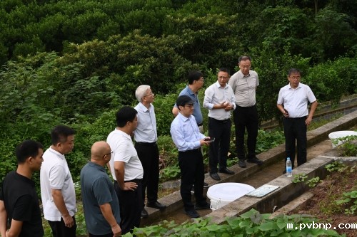 新历18luck 新历18luck